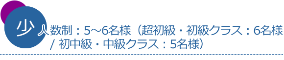 小人数制